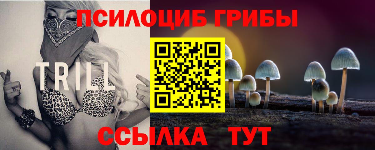 Менделеевск  где продают наркотики  Вход с VPN  Галлюциногенные грибы Magic Shrooms 